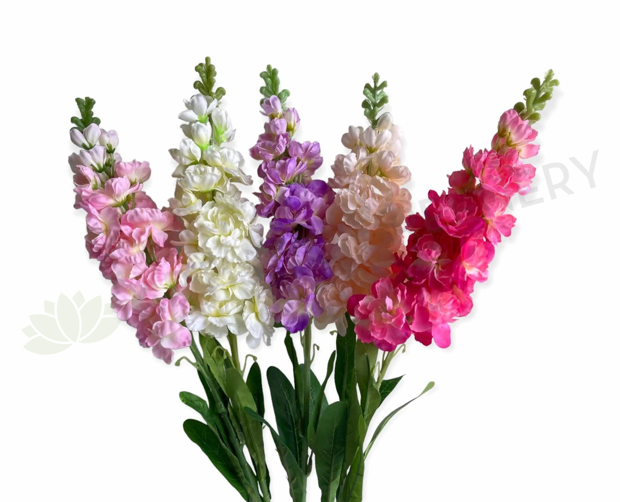 F0402 Delphinium / Stock Flower 85cm 5 Colours indoor houseplants  