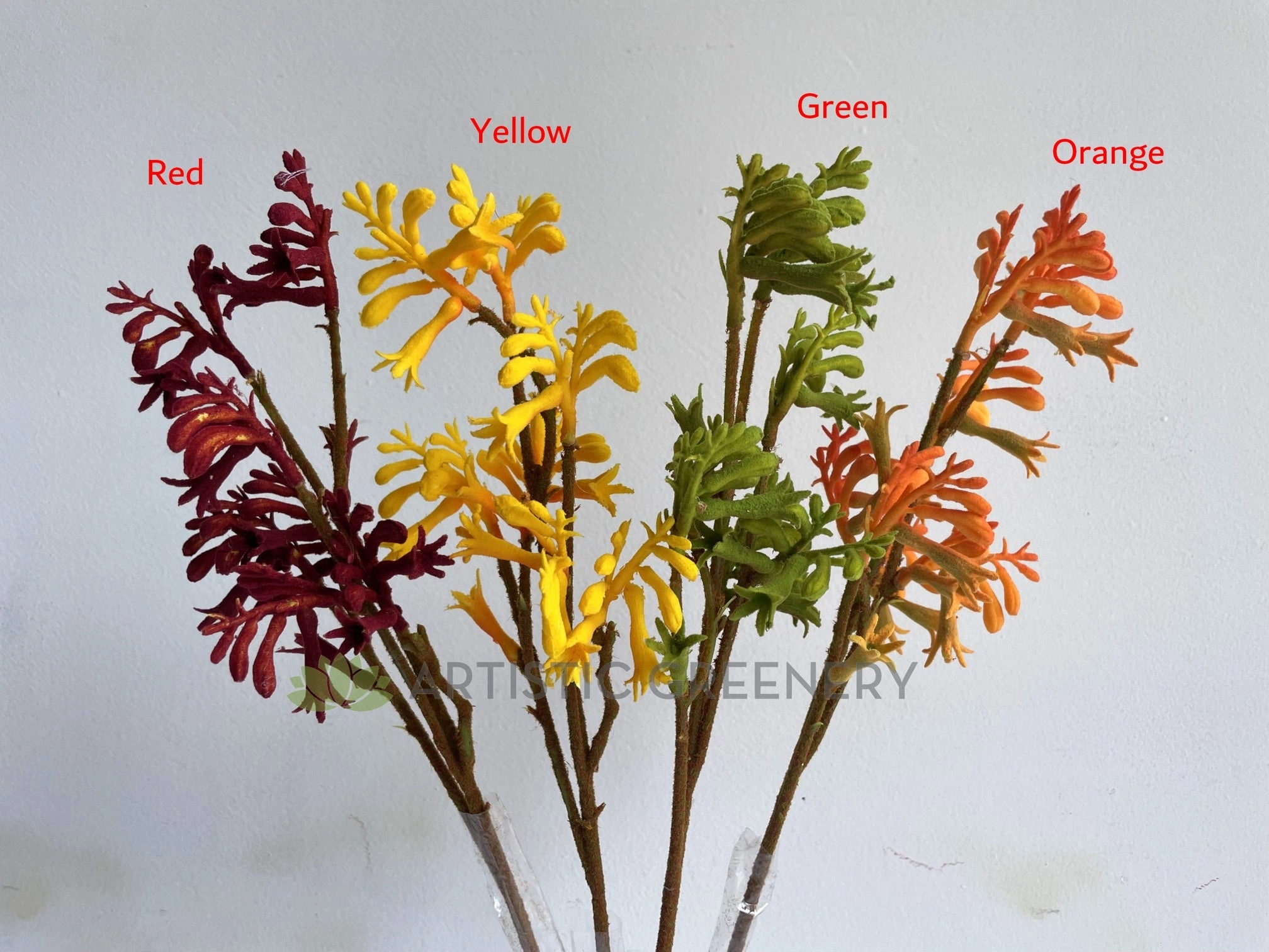 F0409 Kangaroo Paw Spray 61cm 4 Colours