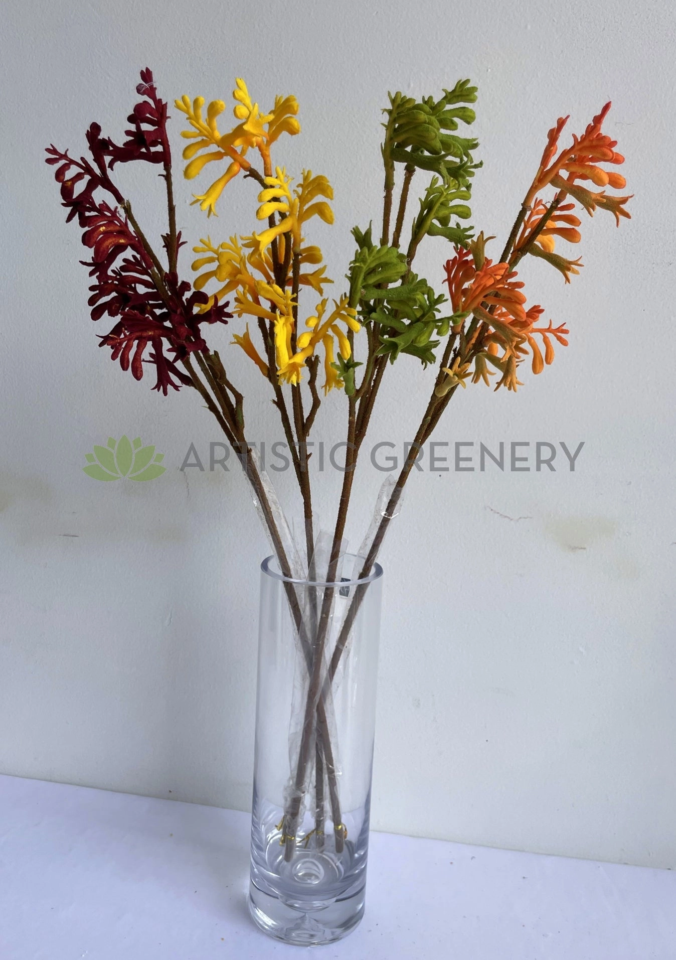 F0409 Kangaroo Paw Spray 61cm 4 Colours