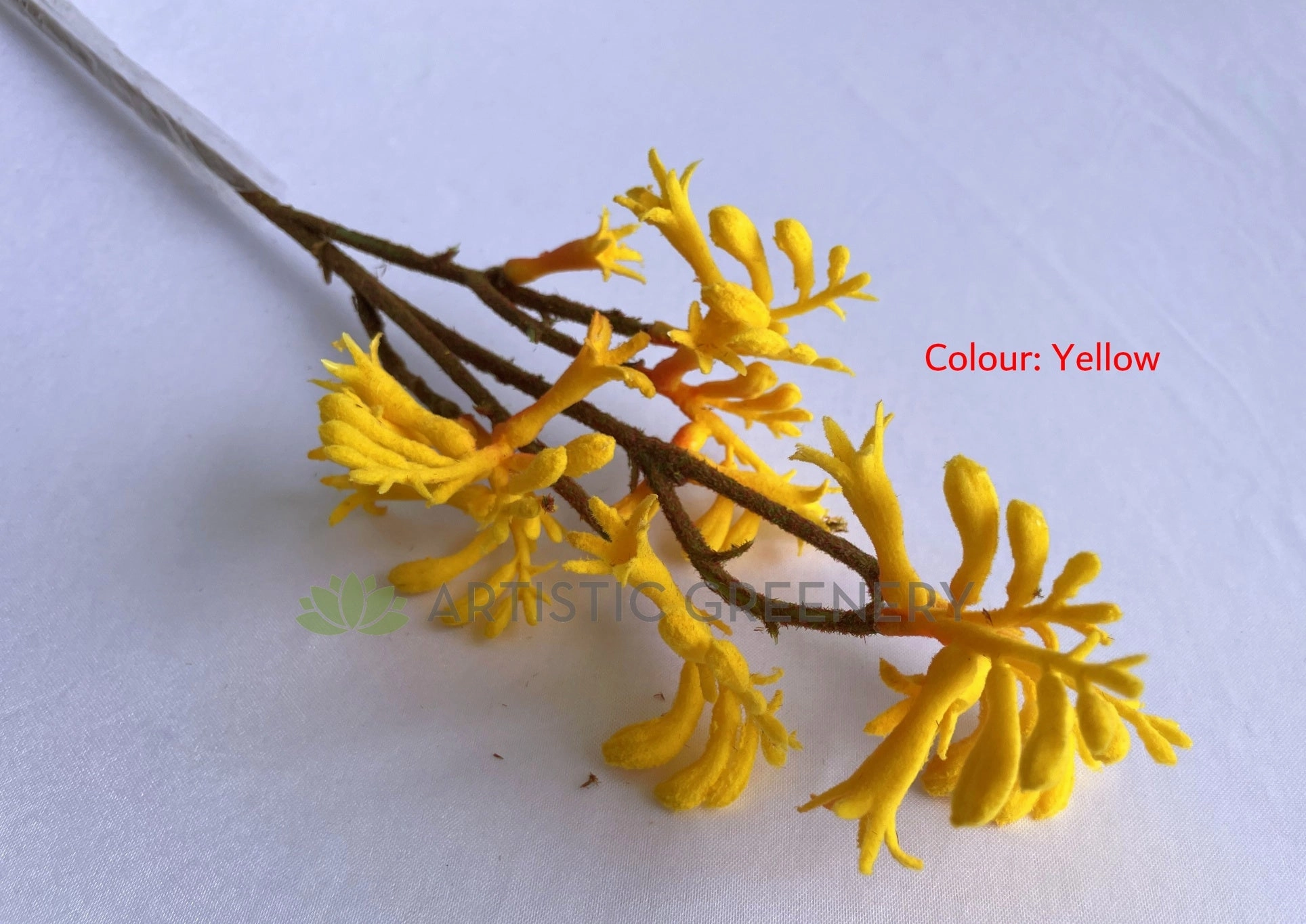 F0409 Kangaroo Paw Spray 61cm 4 Colours