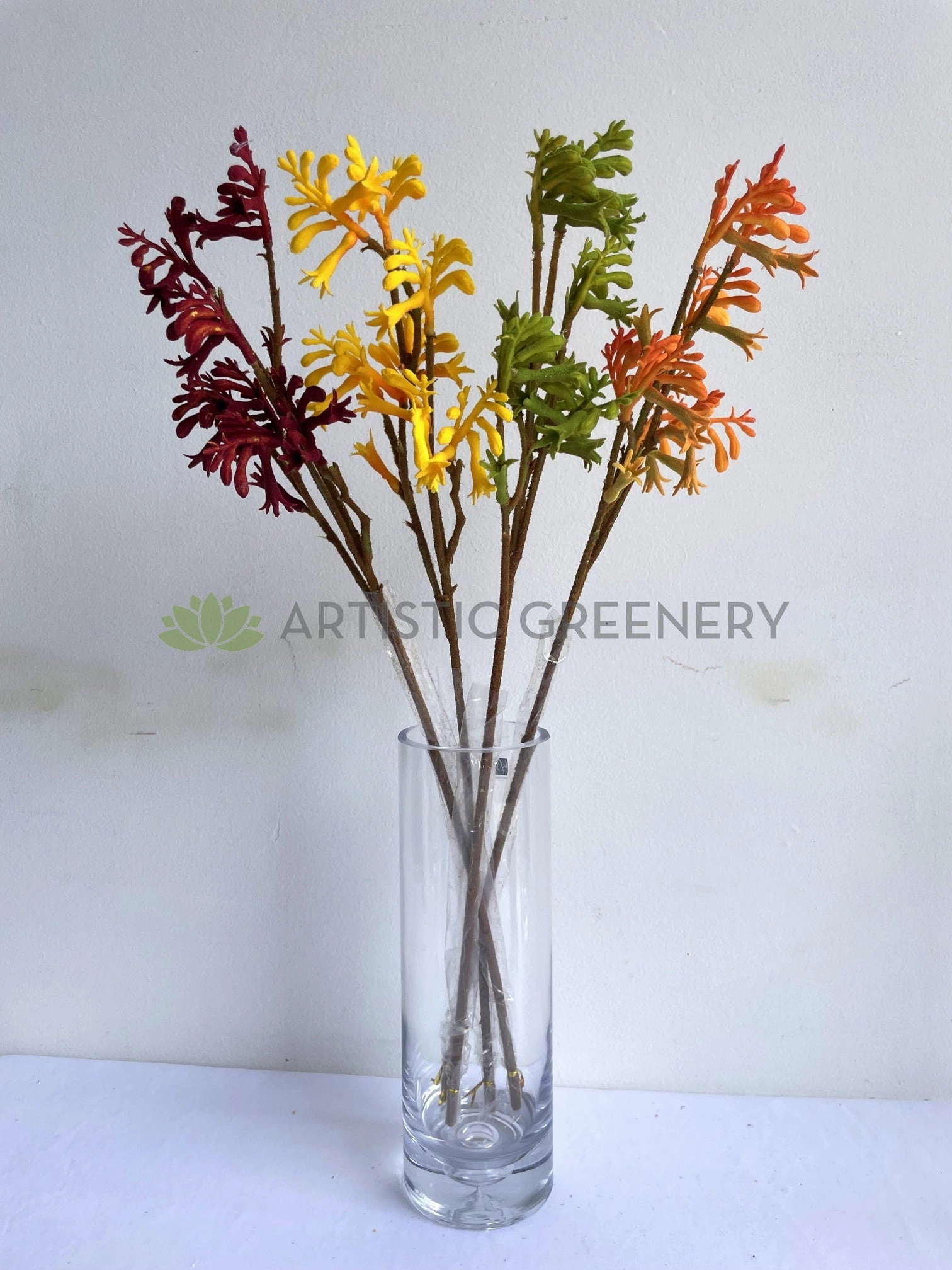 F0409 Kangaroo Paw Spray 61cm 4 Colours