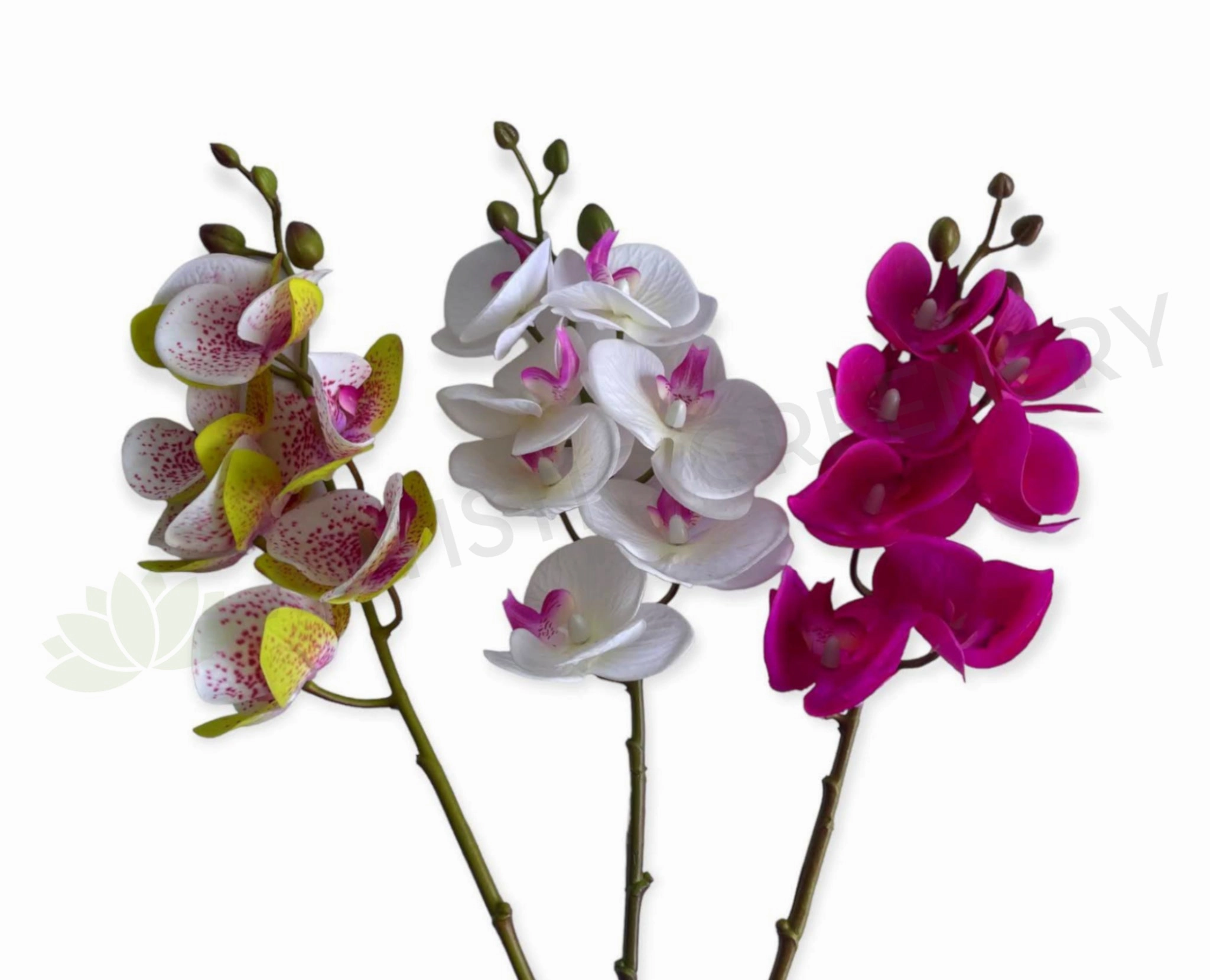 F0411 Phalaenopsis Orchid / Moth Orchid Spray 69cm 3 Colours outdoor greenery  