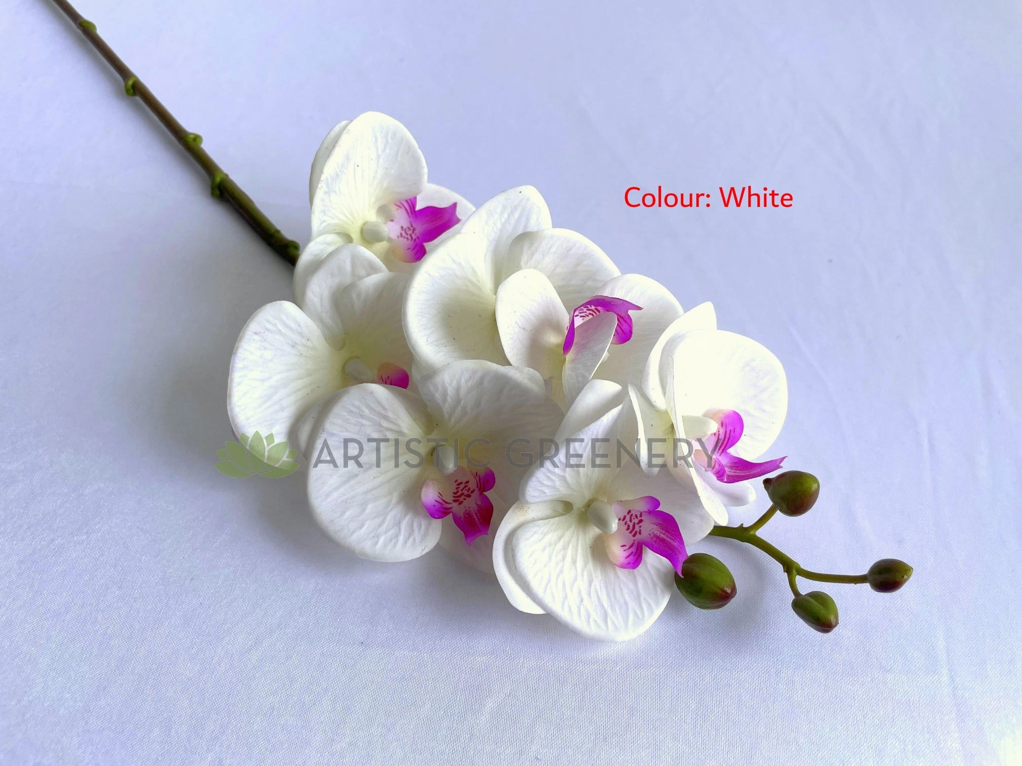F0411 Phalaenopsis Orchid / Moth Orchid Spray 69cm 3 Colours