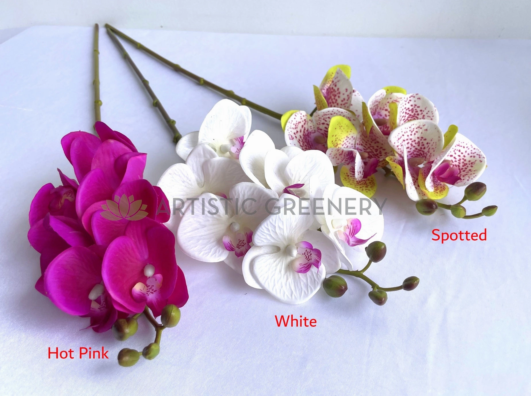 F0411 Phalaenopsis Orchid / Moth Orchid Spray 69cm 3 Colours