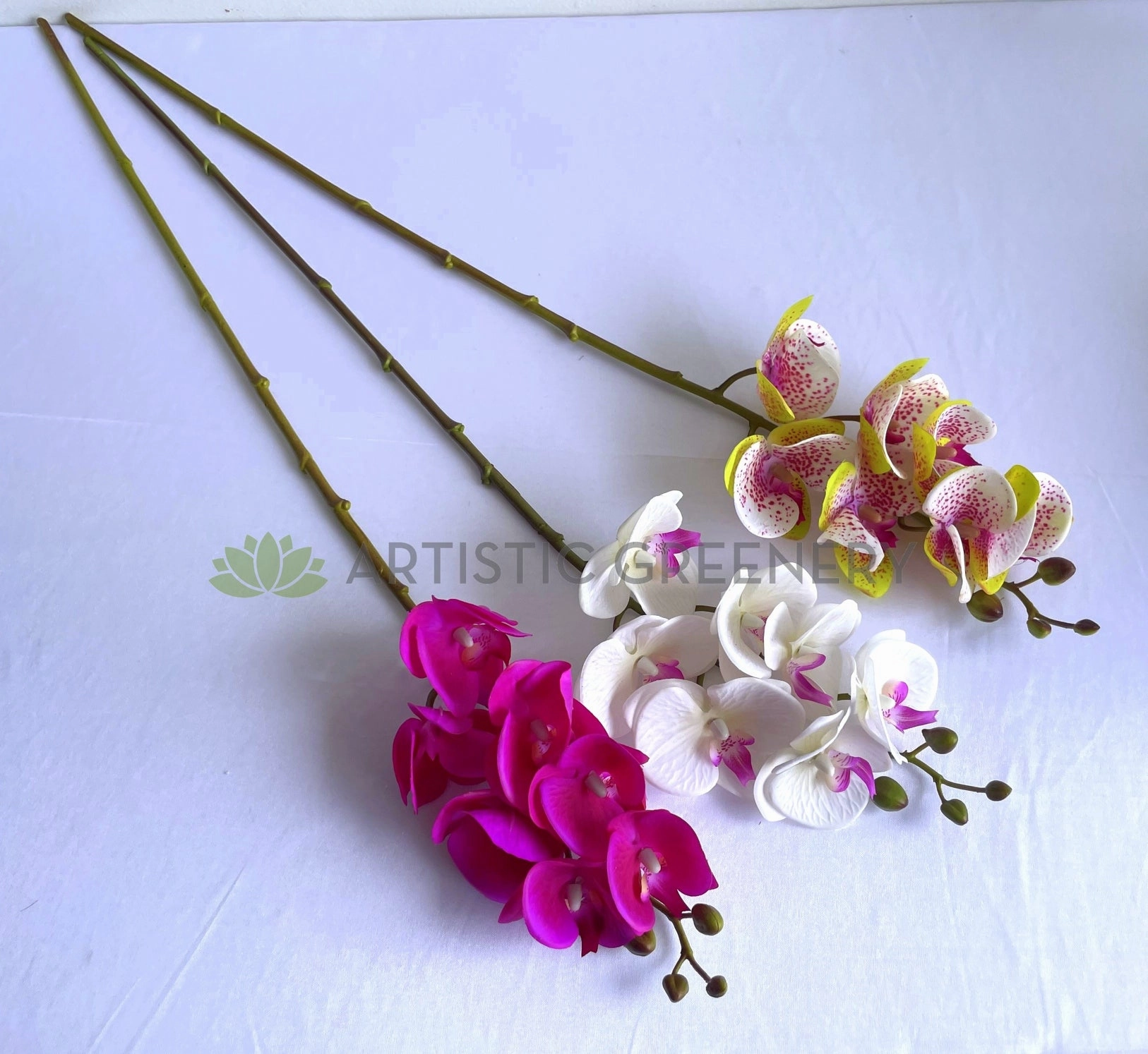 F0411 Phalaenopsis Orchid / Moth Orchid Spray 69cm 3 Colours