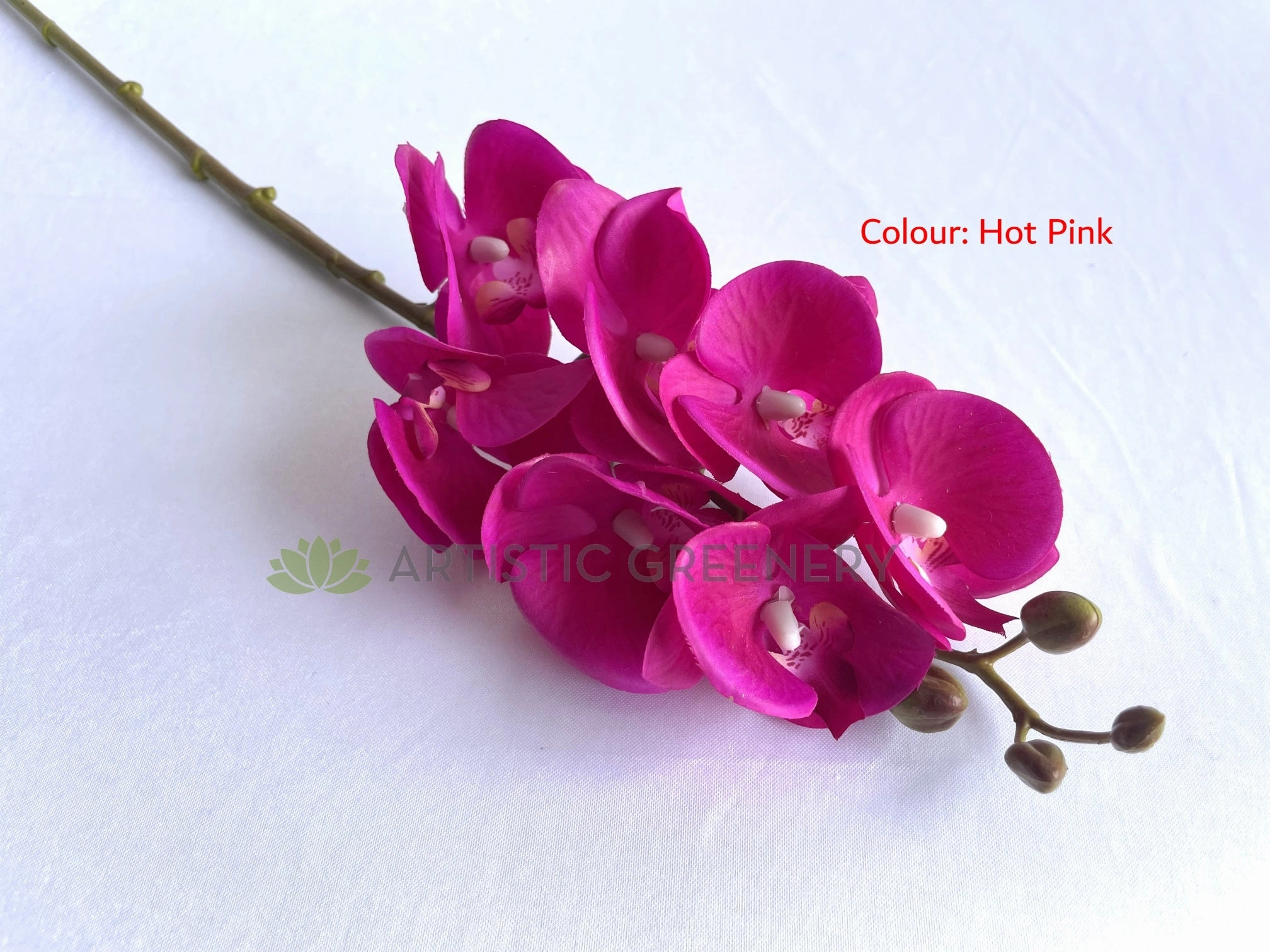 F0411 Phalaenopsis Orchid / Moth Orchid Spray 69cm 3 Colours