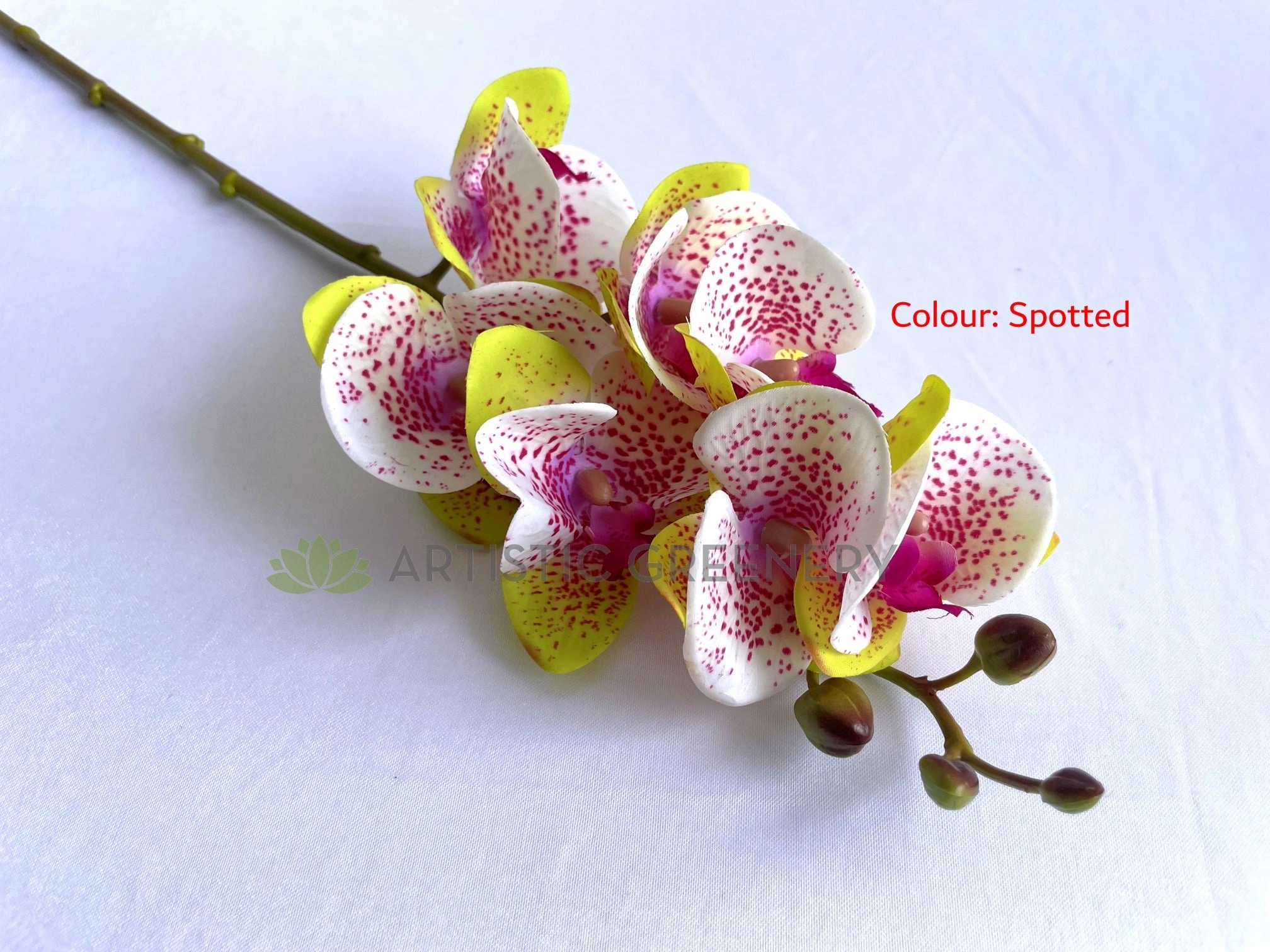 F0411 Phalaenopsis Orchid / Moth Orchid Spray 69cm 3 Colours