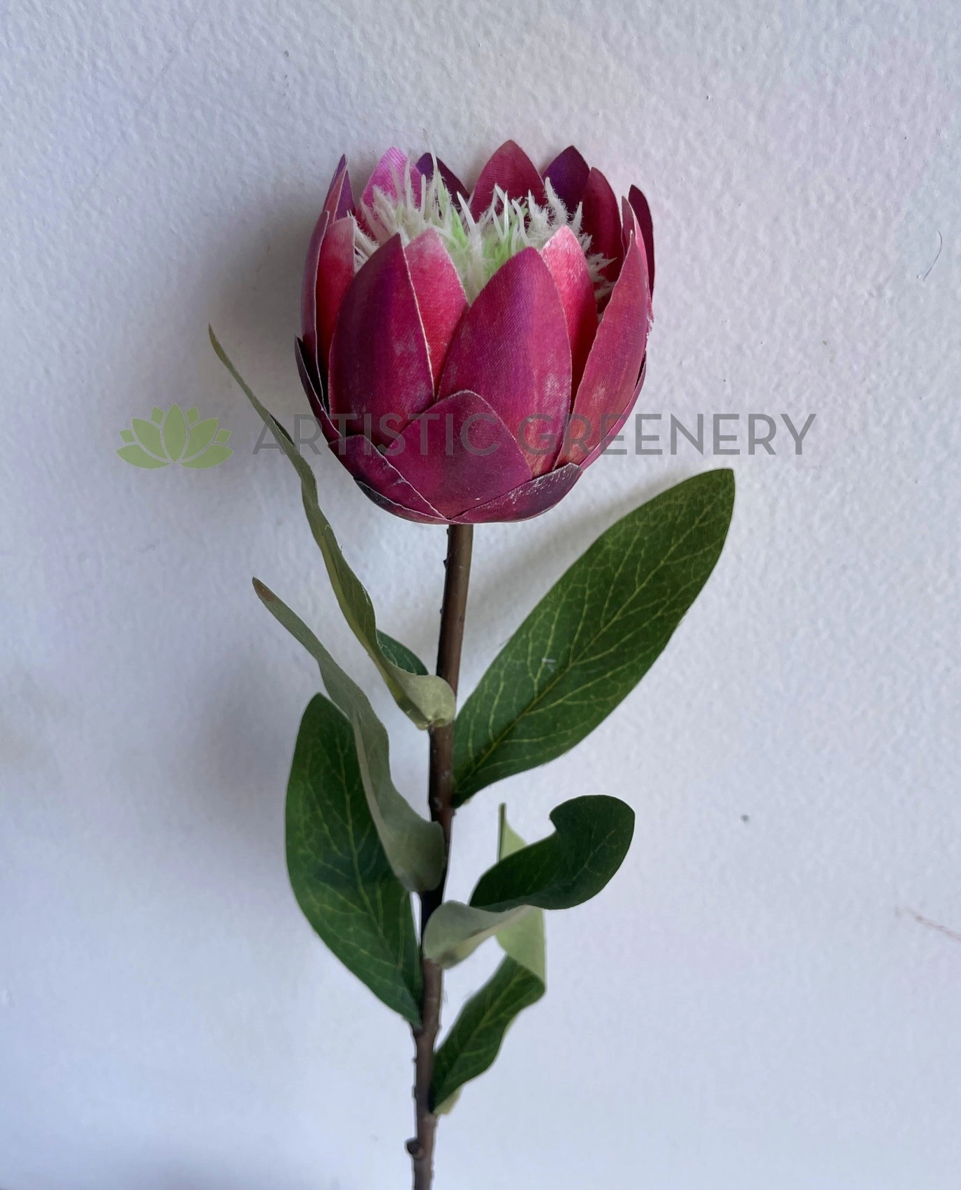 F0413 Small King Protea Stem 54cm Pink