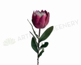 F0413 Small King Protea Stem 54cm Pink outdoor greenery  