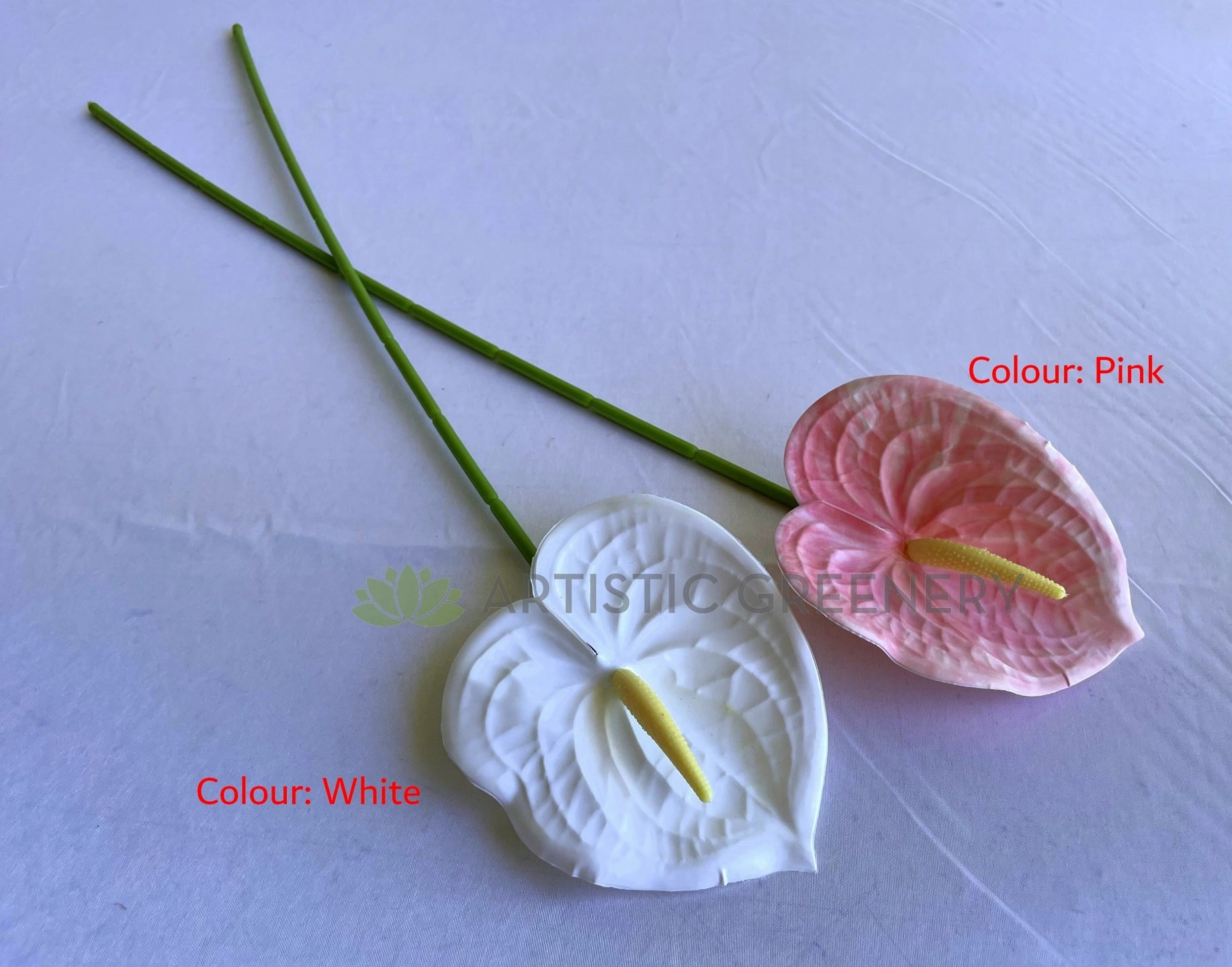 F0414 Anthurium / Flamingo Flower 60cm White / Pink