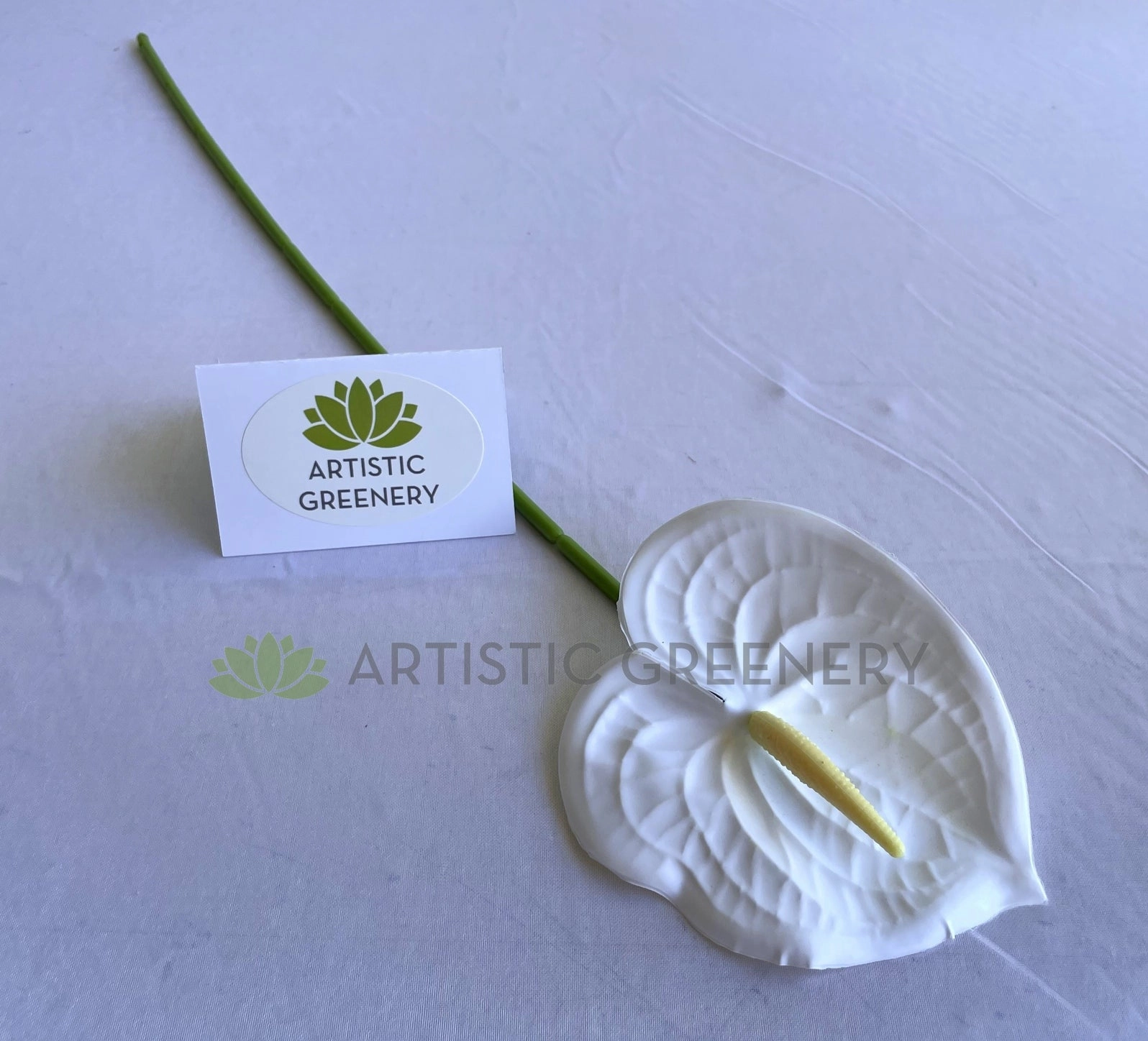 F0414 Anthurium / Flamingo Flower 60cm White / Pink