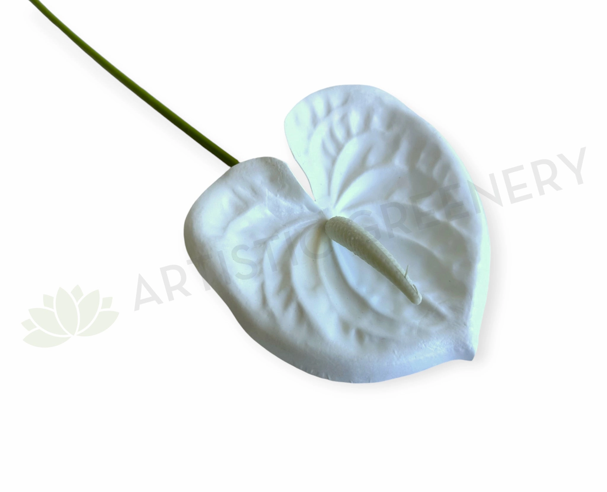 F0414W Anthurium / Flamingo Flower 60cm White outdoor greenery  