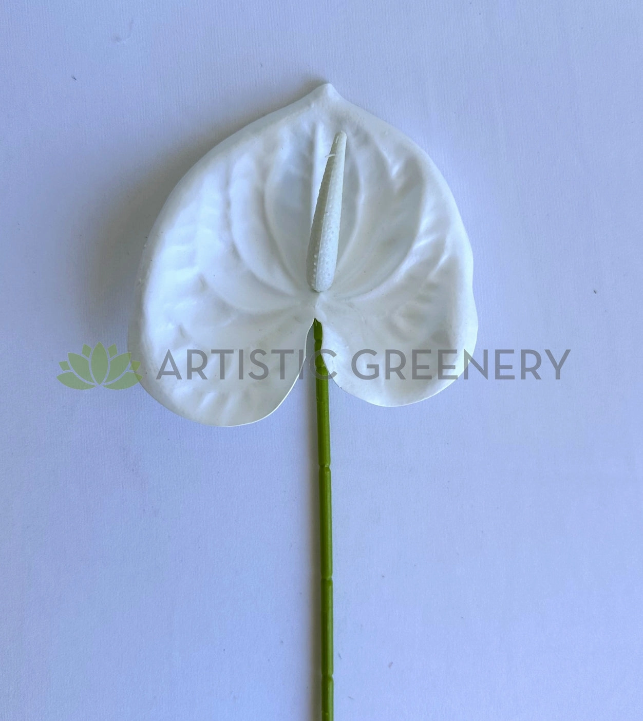 F0414W Anthurium / Flamingo Flower 60cm White
