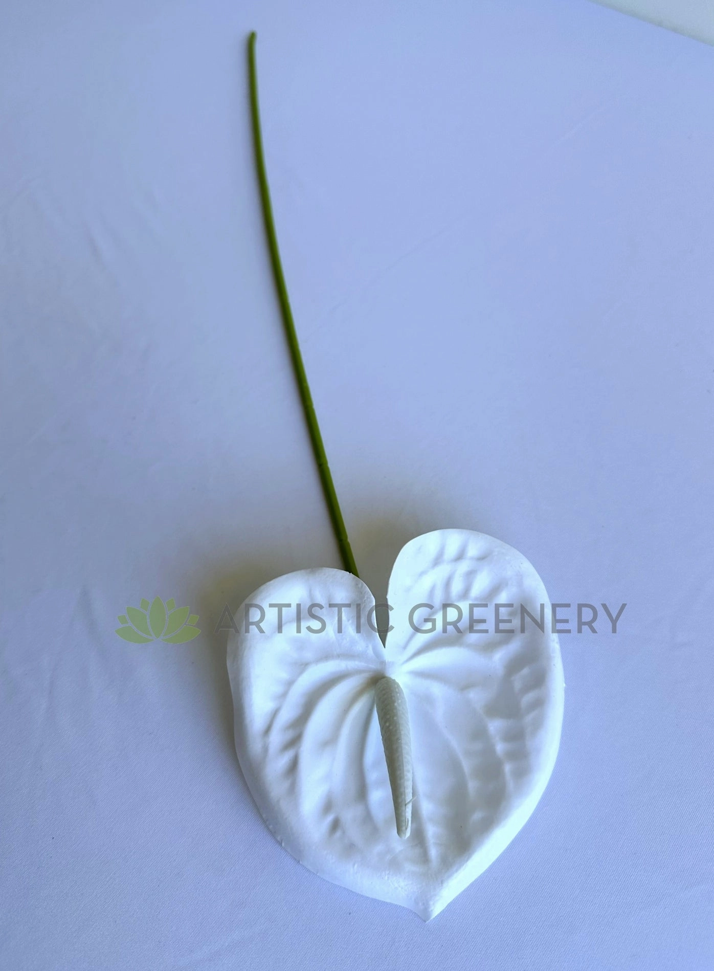 F0414W Anthurium / Flamingo Flower 60cm White