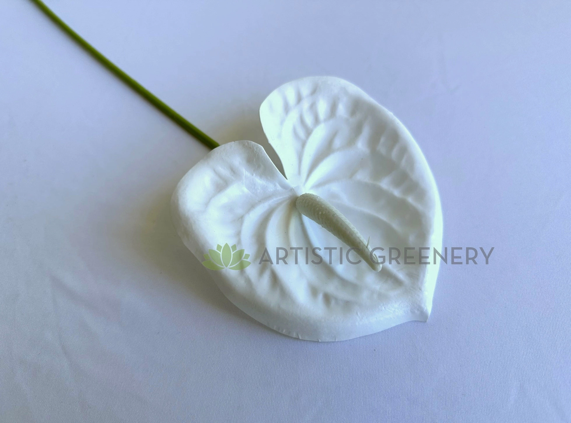 F0414W Anthurium / Flamingo Flower 60cm White