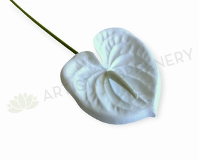 F0414W Anthurium / Flamingo Flower 60cm White outdoor greenery  