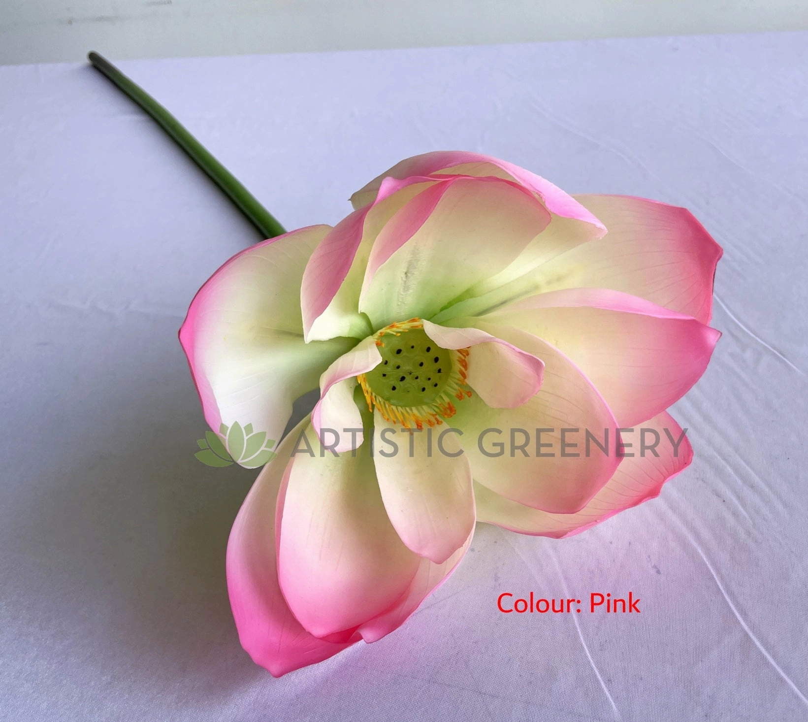 F0415 Lotus Flower (Nelumbo Nucifera) 90cm Pink / White