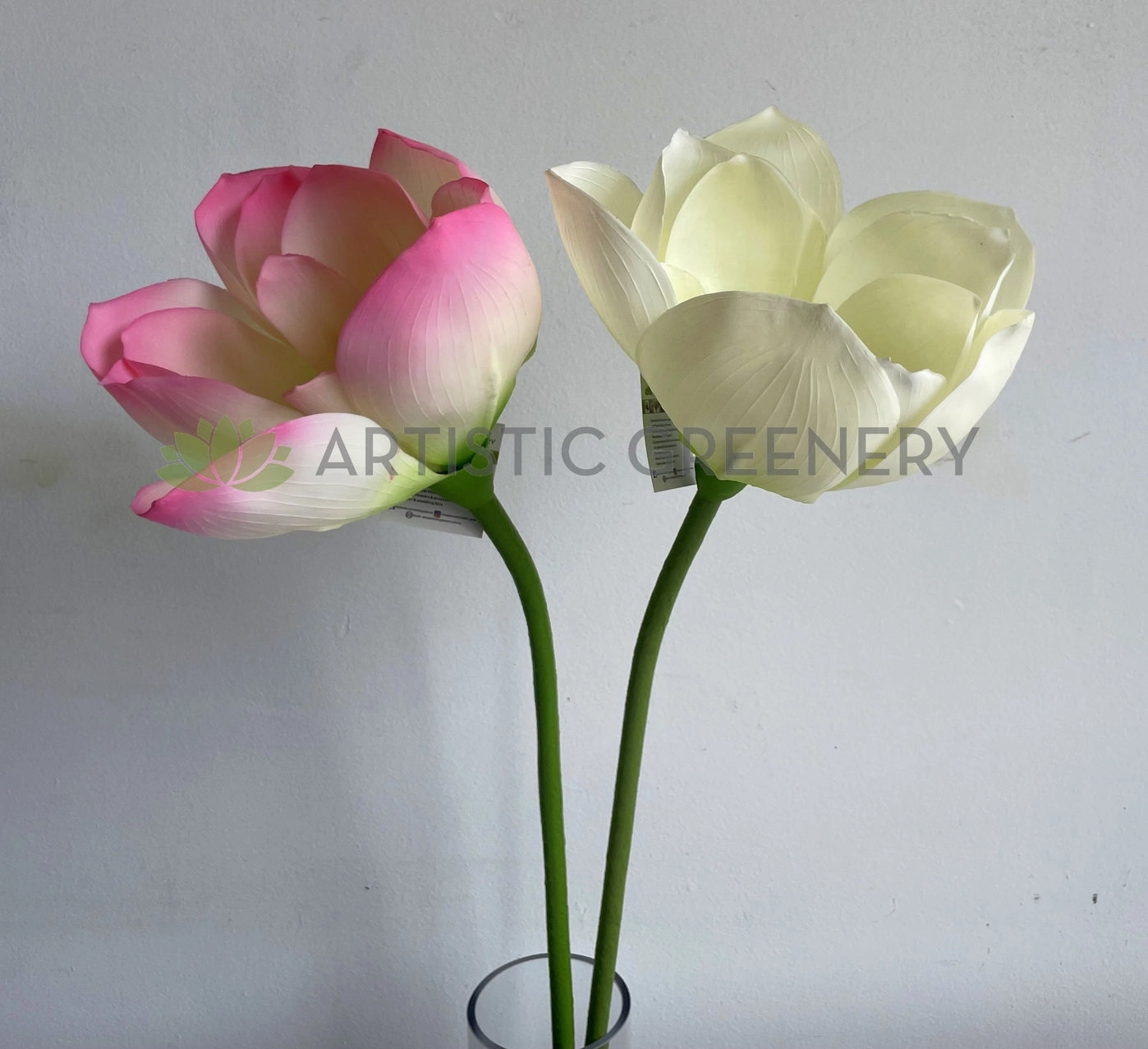 F0415 Lotus Flower (Nelumbo Nucifera) 90cm Pink / White