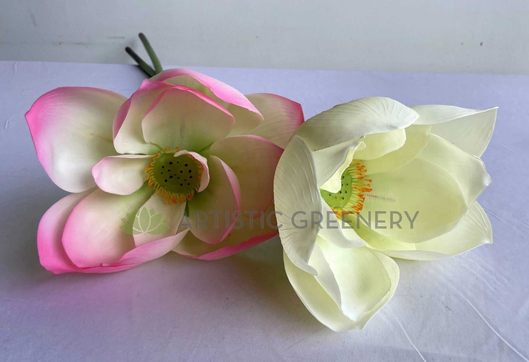 F0415 Lotus Flower (Nelumbo Nucifera) 90cm Pink / White