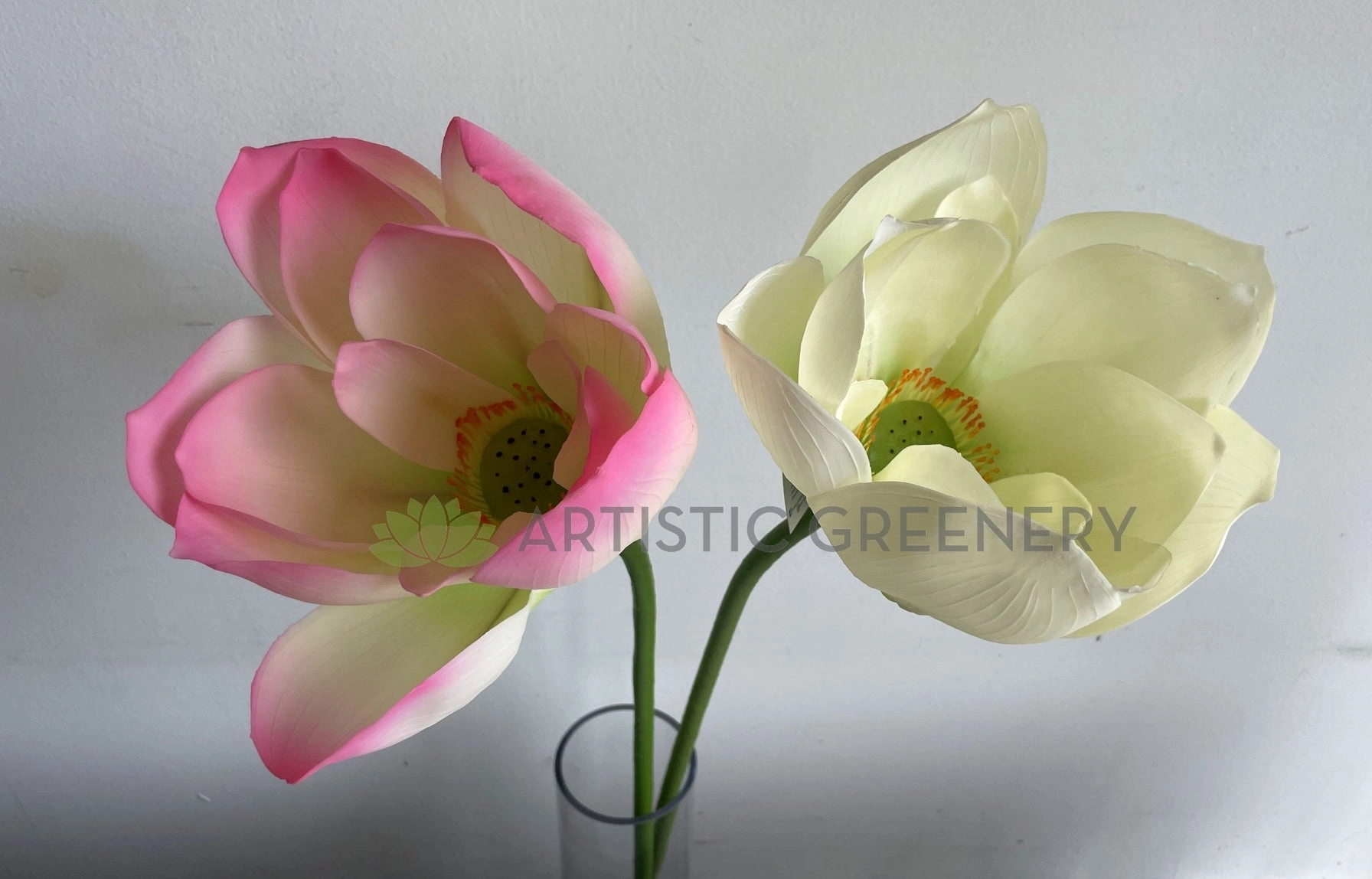 F0415 Lotus Flower (Nelumbo Nucifera) 90cm Pink / White