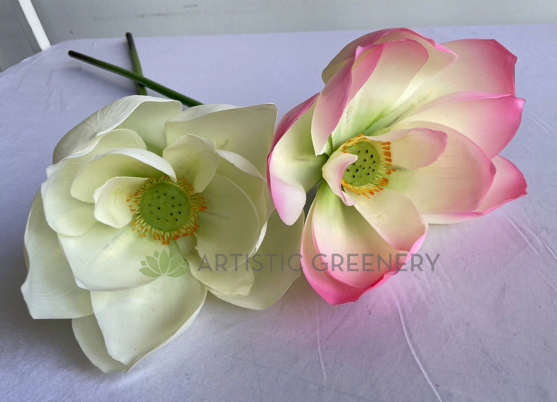 F0415 Lotus Flower (Nelumbo Nucifera) 90cm Pink / White