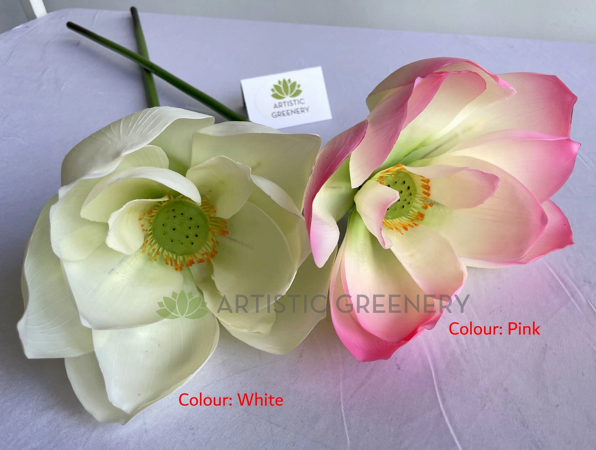 F0415 Lotus Flower (Nelumbo Nucifera) 90cm Pink / White