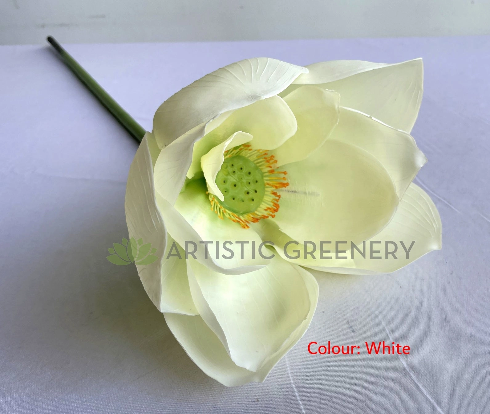 F0415 Lotus Flower (Nelumbo Nucifera) 90cm Pink / White