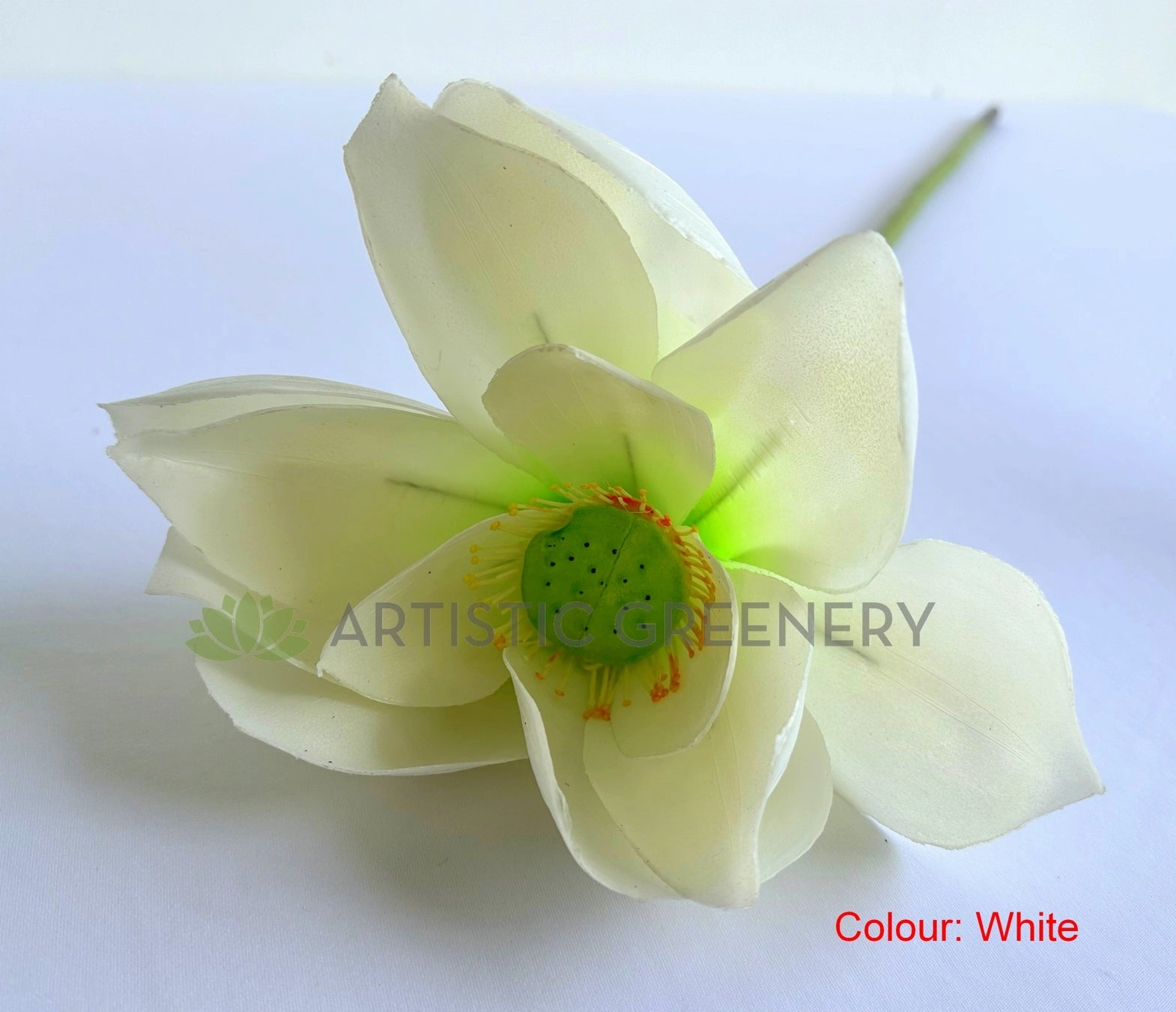 F0415S Lotus Flower (Nelumbo Nucifera) Small 84cm Pink / White