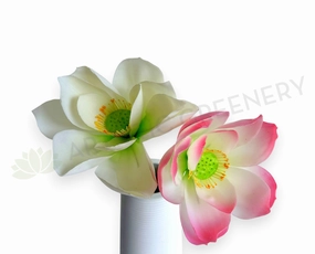 F0415S Lotus Flower (Nelumbo Nucifera) Small 84cm Pink / White outdoor greenery  