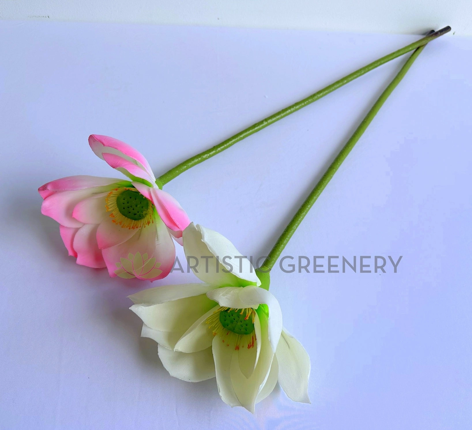 F0415S Lotus Flower (Nelumbo Nucifera) Small 84cm Pink / White