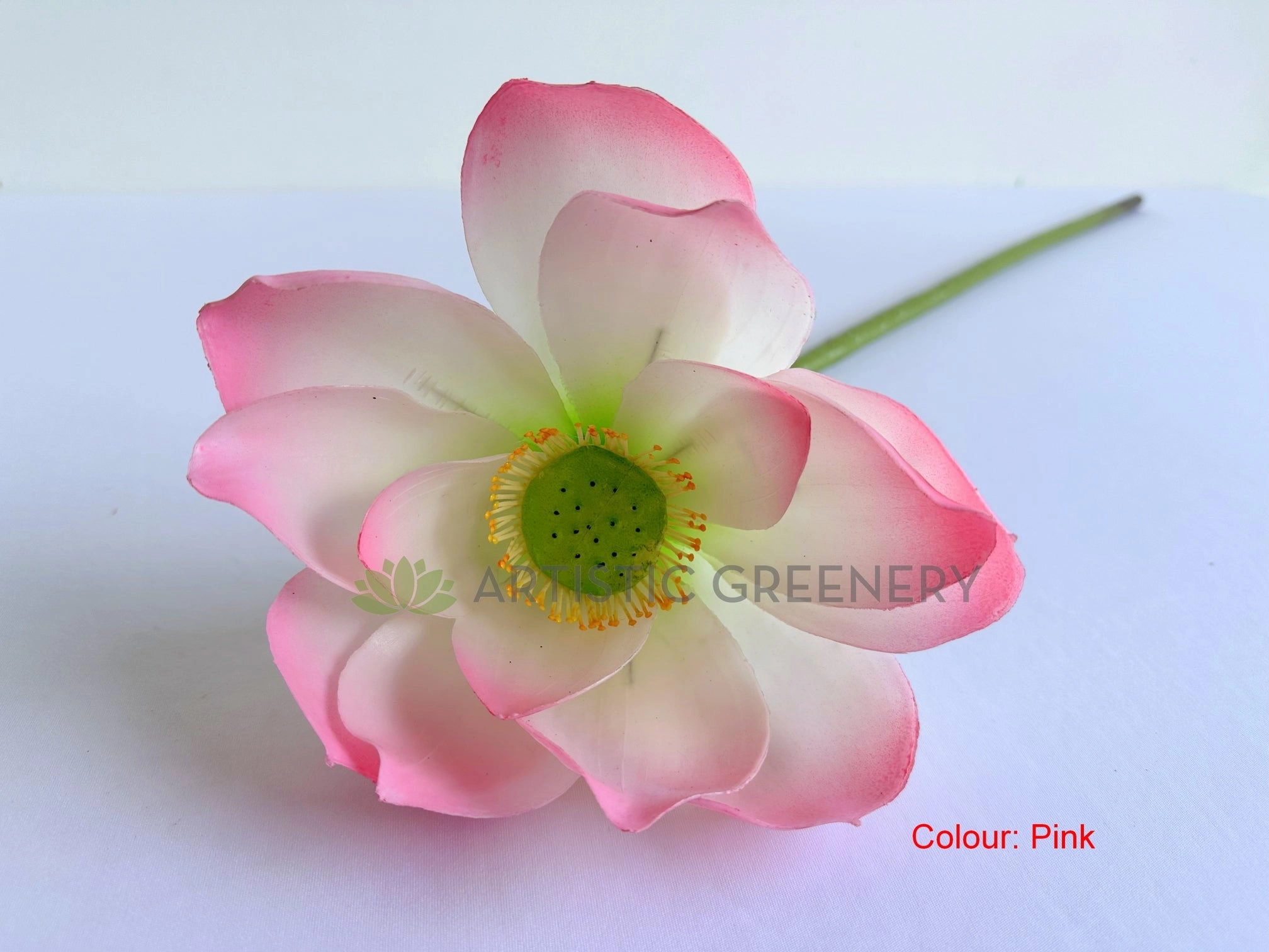 F0415S Lotus Flower (Nelumbo Nucifera) Small 84cm Pink / White