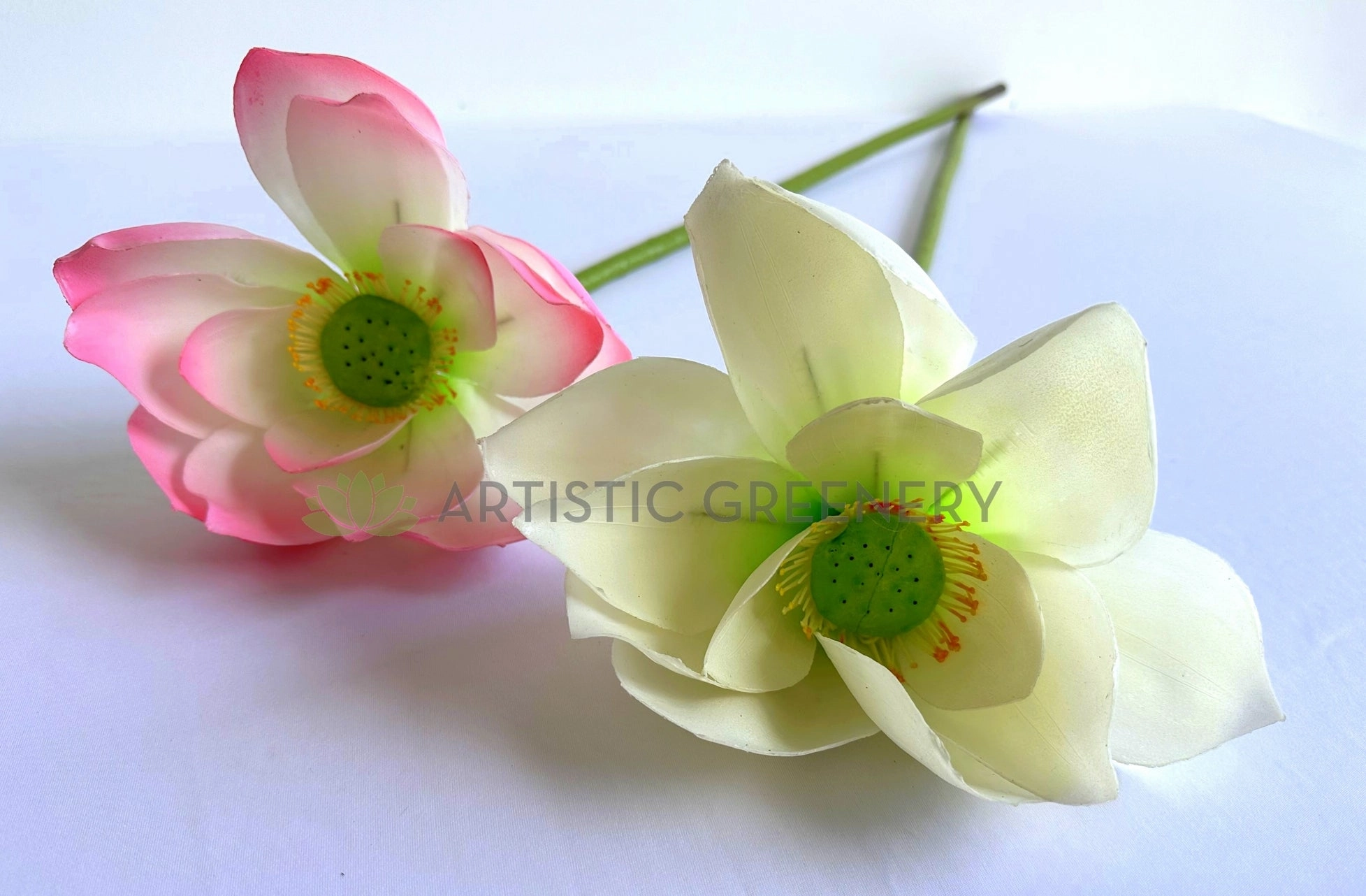 F0415S Lotus Flower (Nelumbo Nucifera) Small 84cm Pink / White