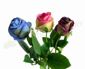 F0417 Single Rose Stem 39cm Blue / Pink / Purple (SPECIAL) outdoor greenery  