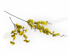 F0420 Oncidium Orchid 47-82cm CLEARANCE STOCK outdoor greenery  