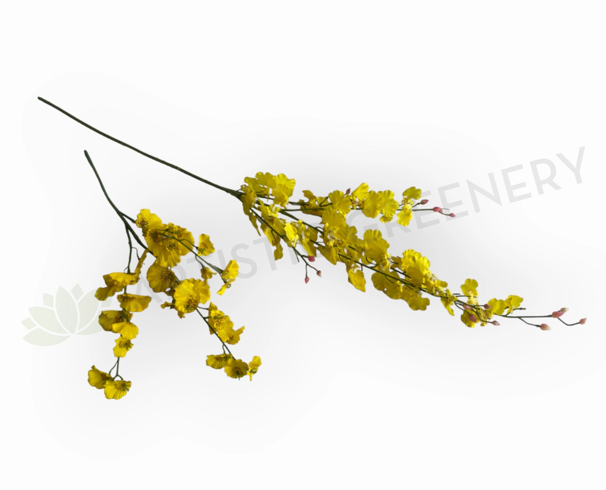 F0420 Oncidium Orchid 47-82cm CLEARANCE STOCK outdoor greenery  