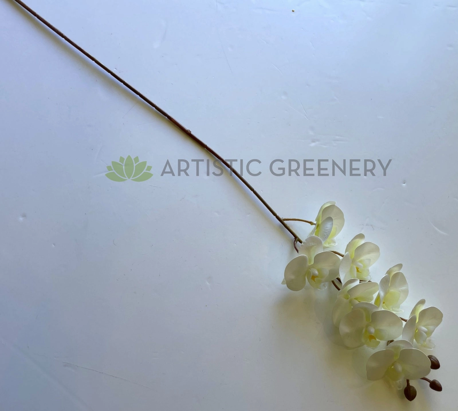 F0422 Phalaenopsis Orchid Spray Real Touch 78cm White