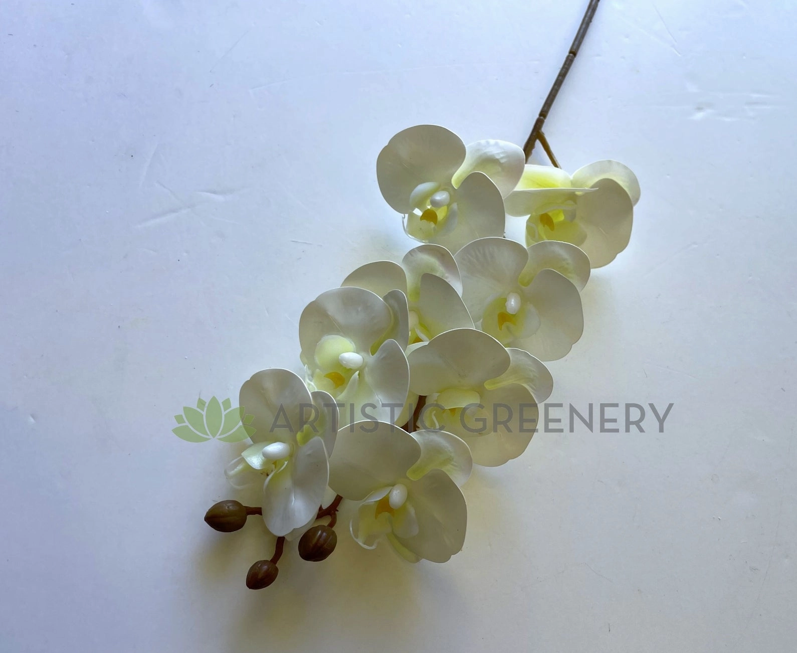 F0422 Phalaenopsis Orchid Spray Real Touch 78cm White