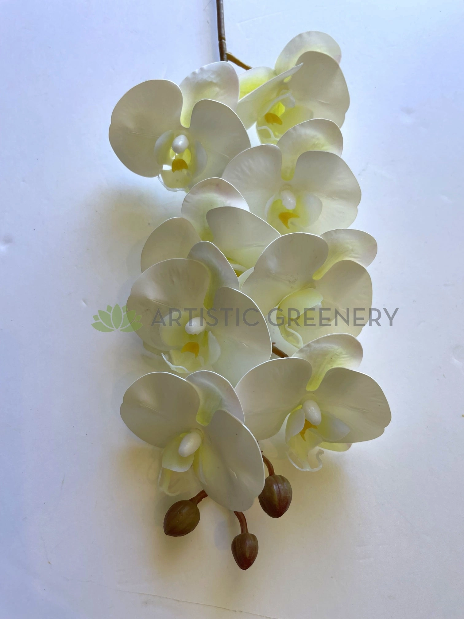 F0422 Phalaenopsis Orchid Spray Real Touch 78cm White