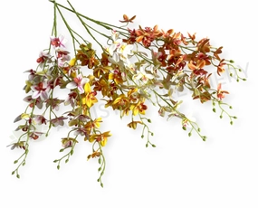 F0423 Orchid Spray 85cm (4 Colours) outdoor greenery  