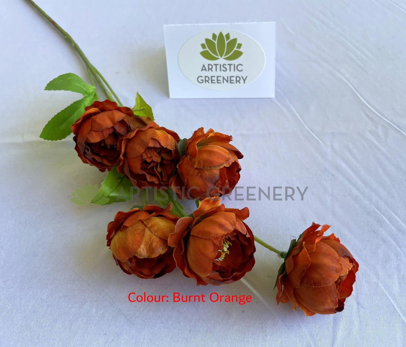 F0425 Cabbage Rose / Ranunculus Spray 69cm 4 colours