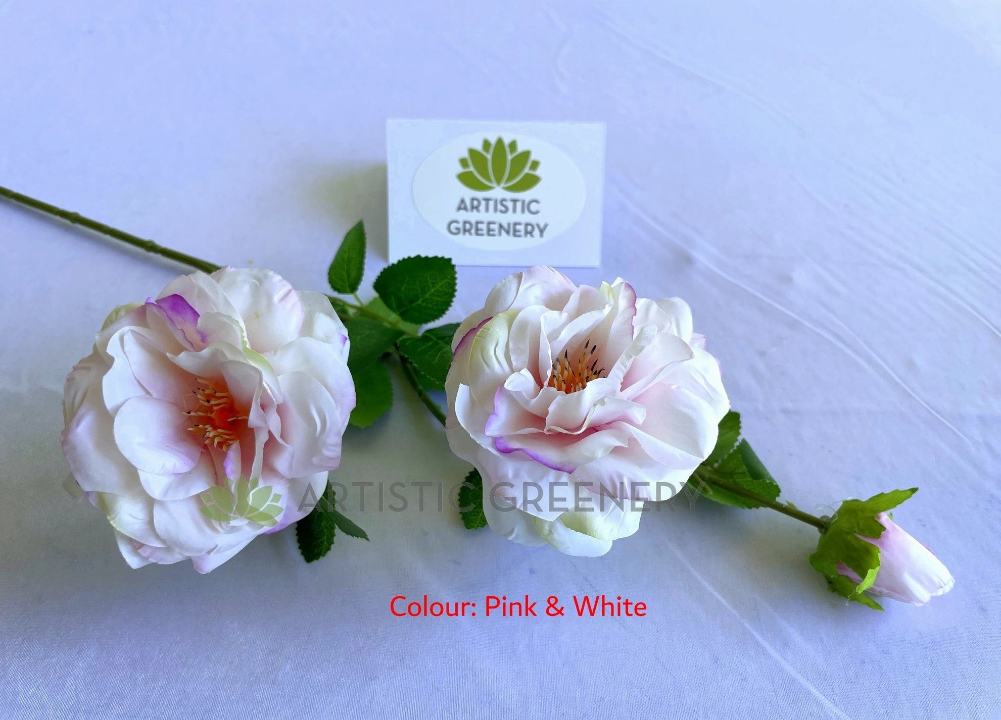 F0427 Amelia / Garden Rose Spray 64cm Pink & White / Hot Pink / Baby Pink