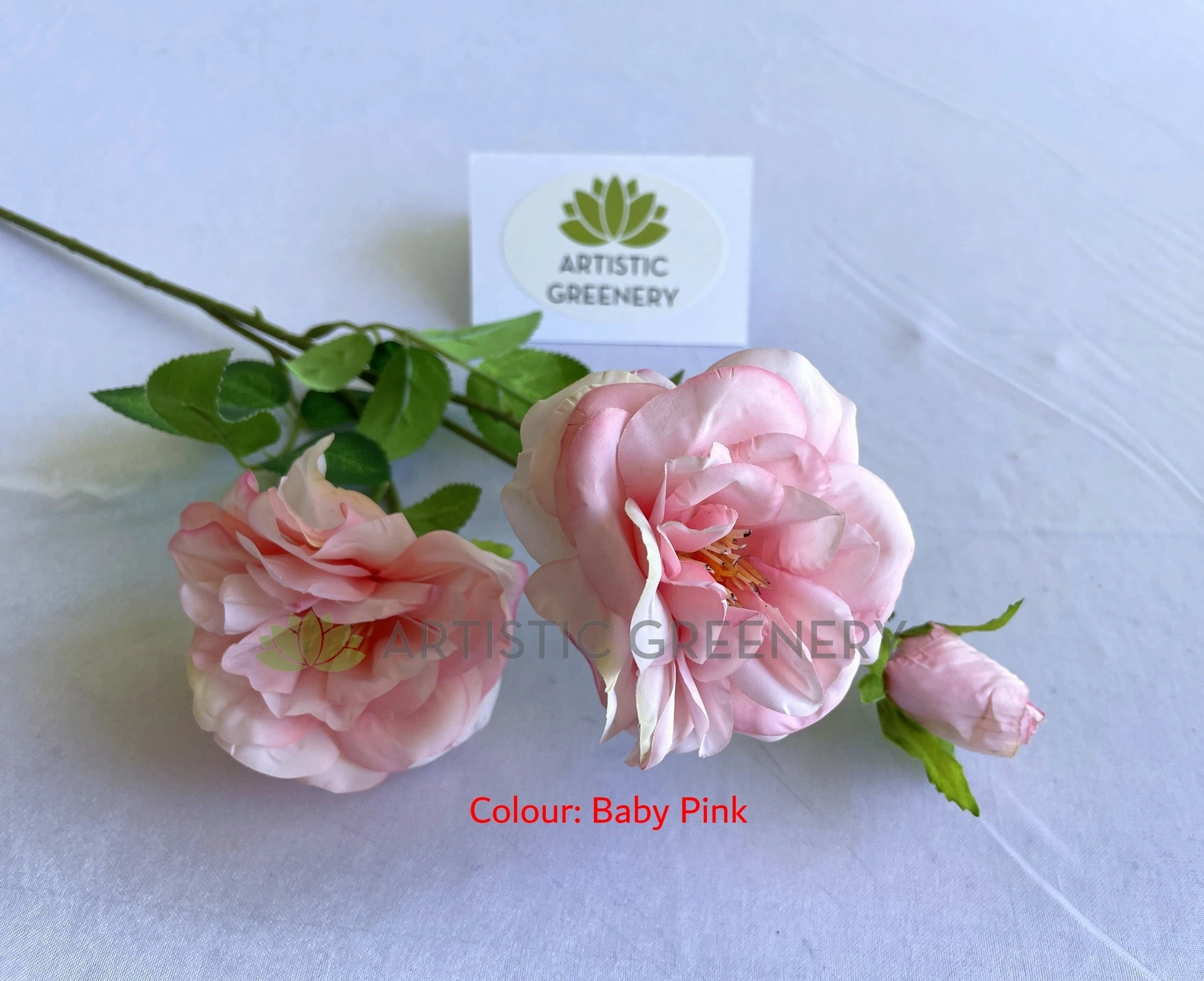 F0427 Amelia / Garden Rose Spray 64cm Pink & White / Hot Pink / Baby Pink