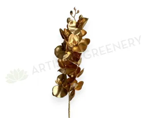 F0430 Gold Phalaenopsis Orchid 95cm dried green plant  