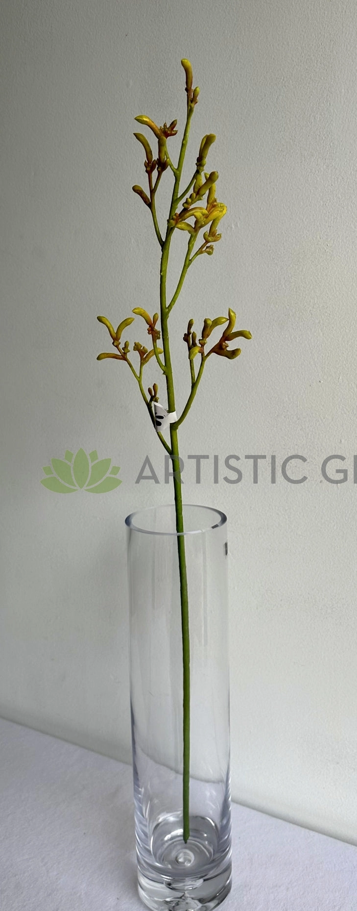 F0433 Kangaroo Paw Spray 76cm Yellow