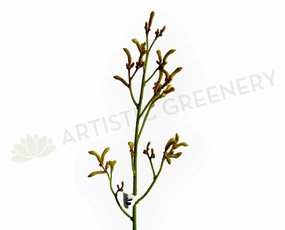 F0433 Kangaroo Paw Spray 76cm Yellow outdoor greenery  