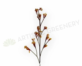 F0434 Kangaroo Paw Spray 100cm Orange outdoor greenery  