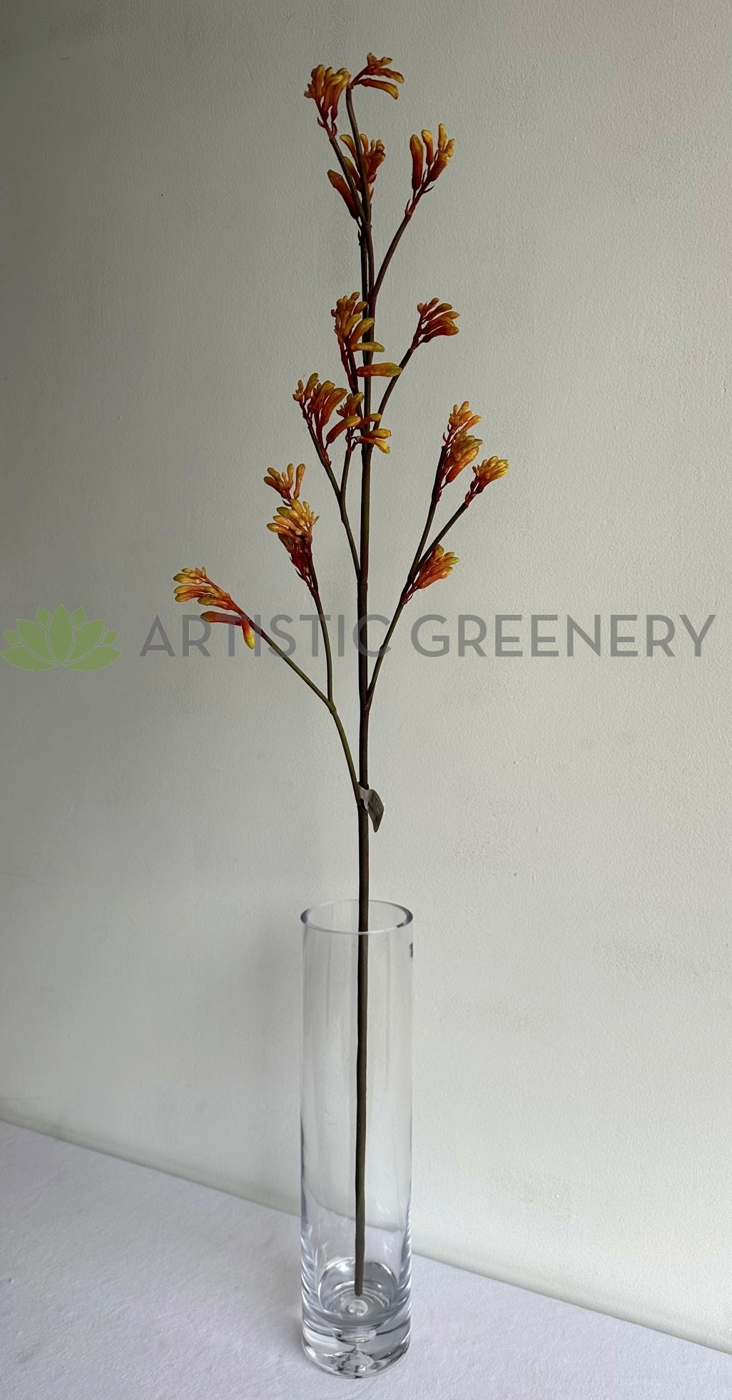 F0434 Kangaroo Paw Spray 100cm Orange