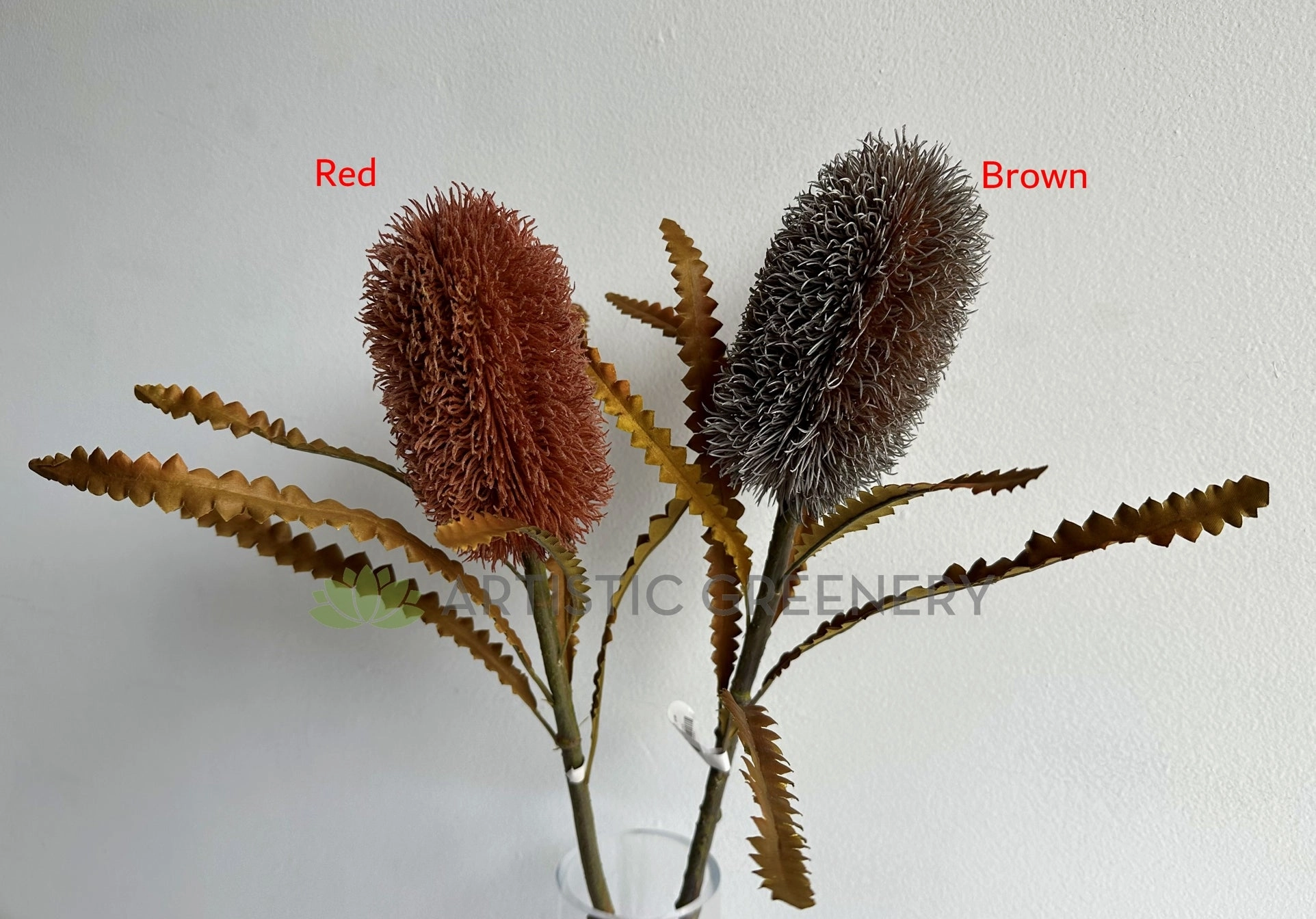 F0436 Dried Banksia Serrata 62cm Brown / Red