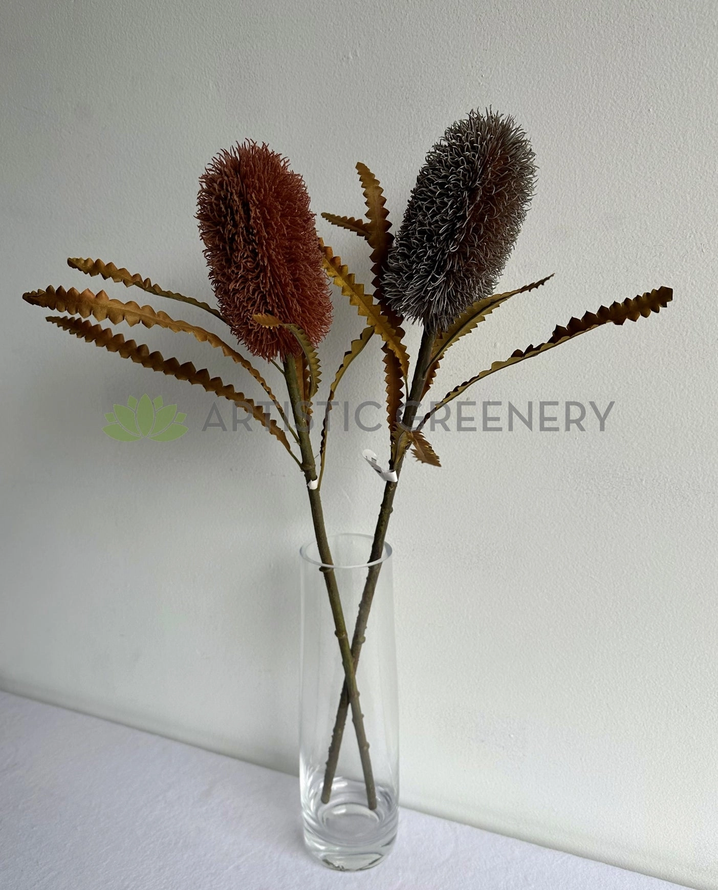 F0436 Dried Banksia Serrata 62cm Brown / Red