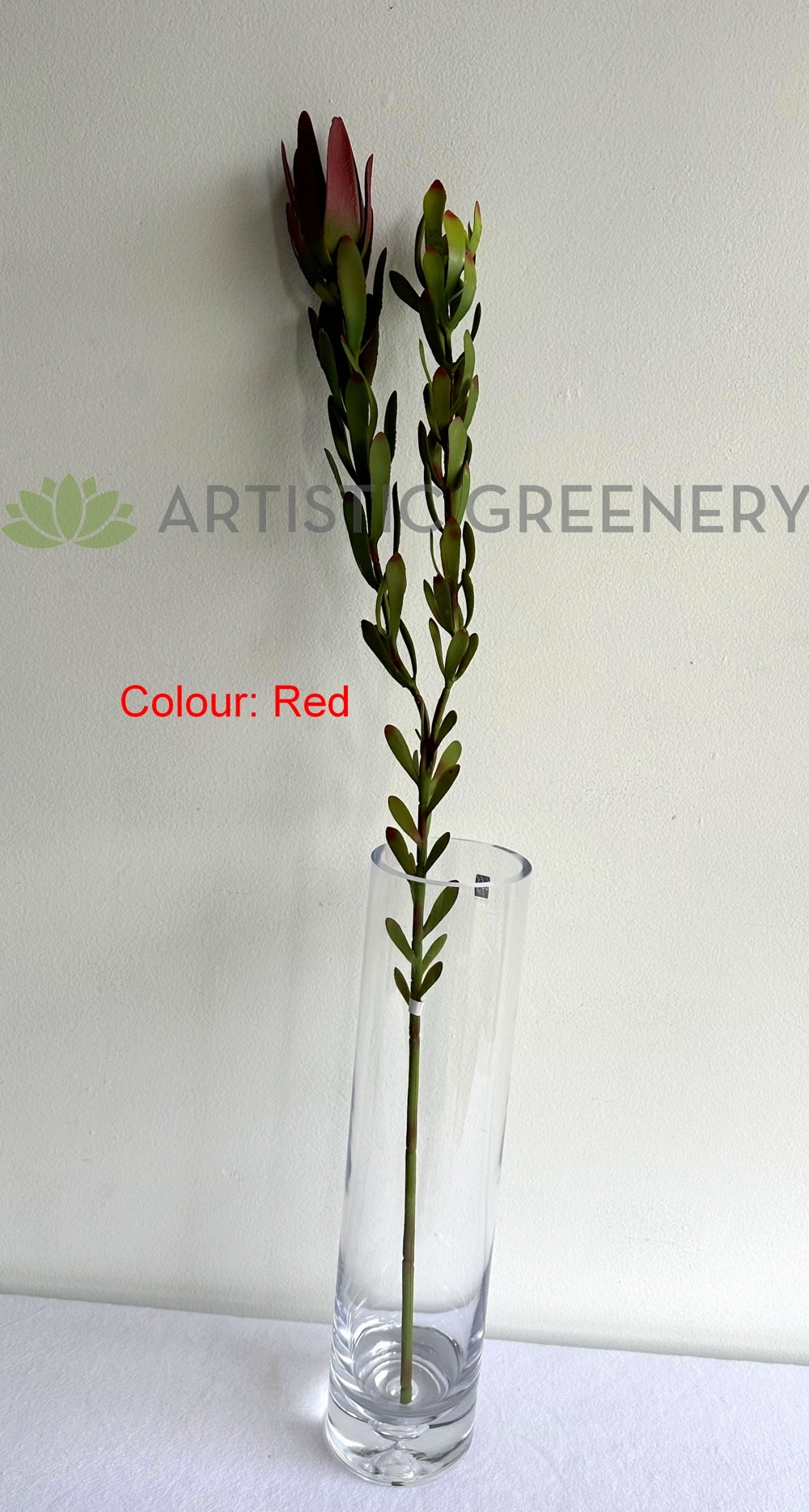F0437 Leucadendron / Safari Sunset Double Stem 83cm 2 Colours